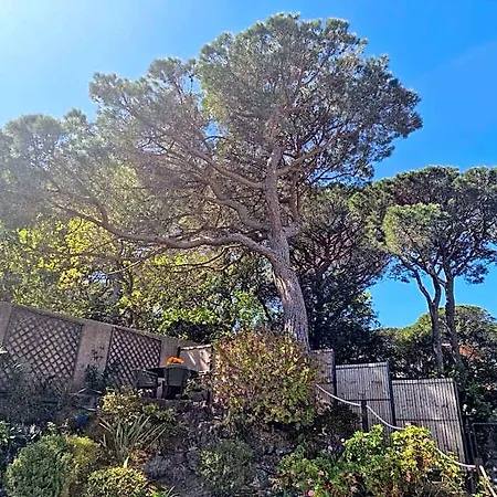 Hotel Mont Cabasse Comfortable Sainte-Maxime